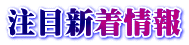 注目新着情報